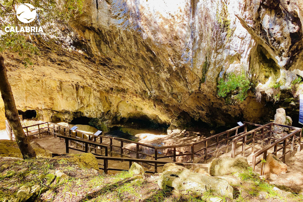 calabria experience Grotta del Romito